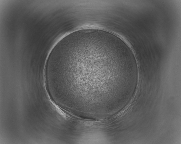 X0000056341056200508291310