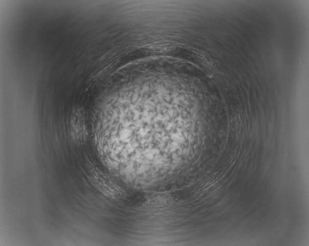 X0000056341058200508291310