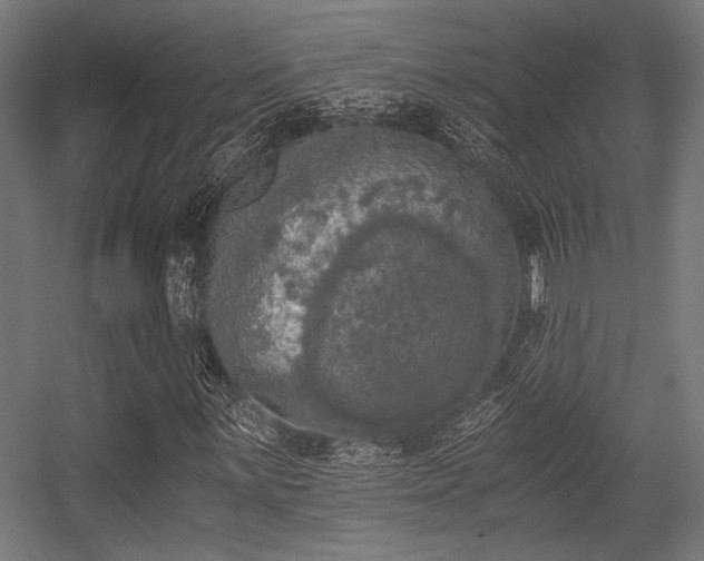 X0000056341059200508291310