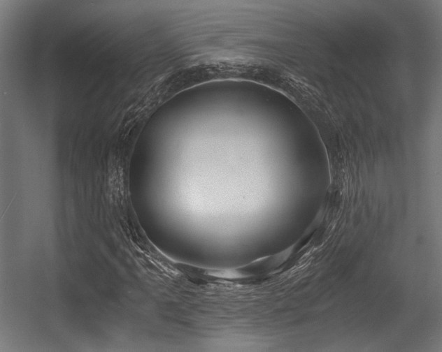 X0000056341061200508291310