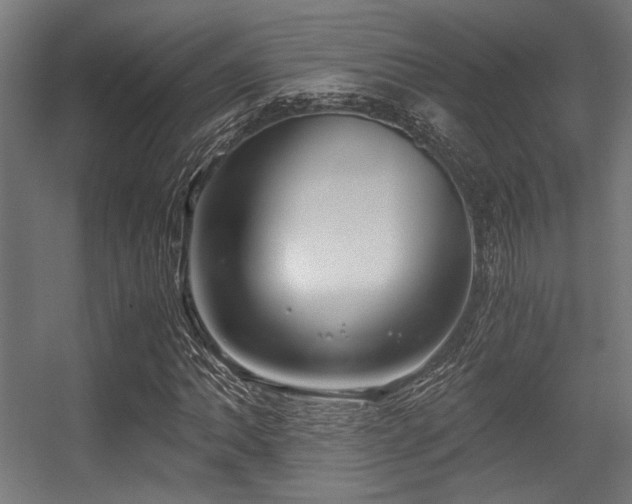 X0000056341062200508291310