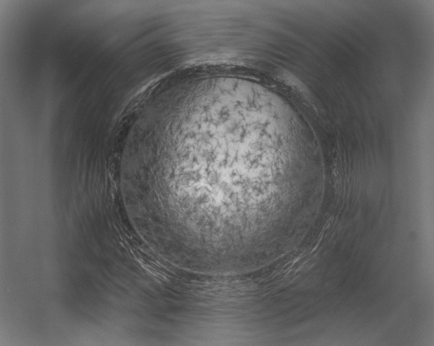 X0000056341064200508291310