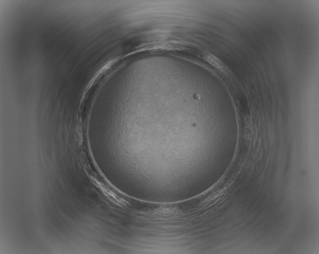 X0000056341067200508291309