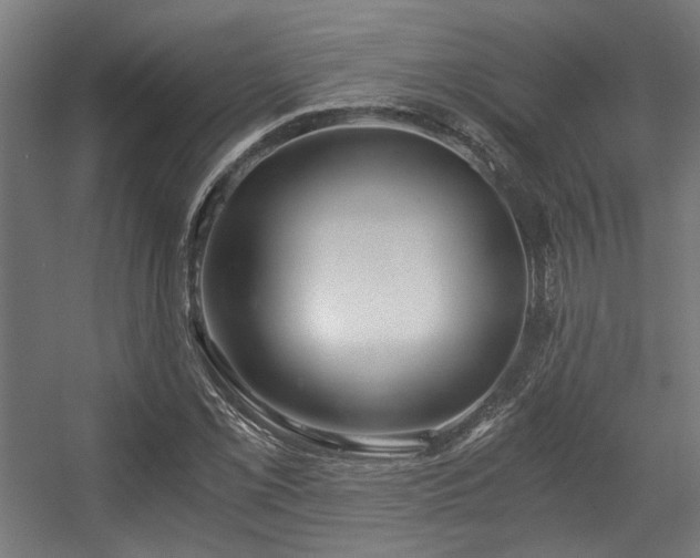 X0000056341069200508291309