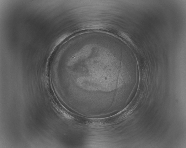 X0000056341071200508291309