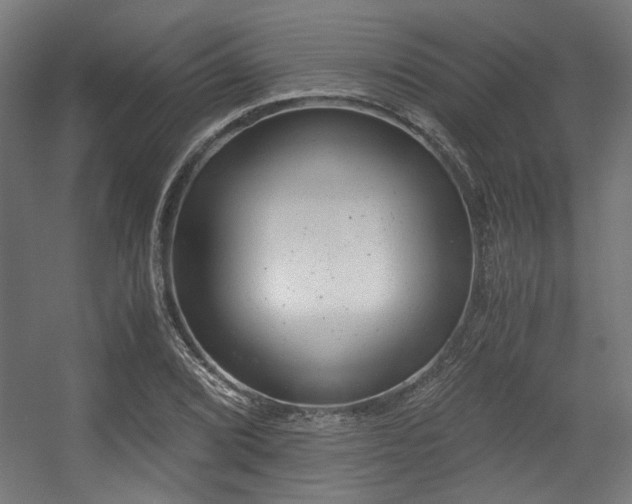 X0000056341072200508291309