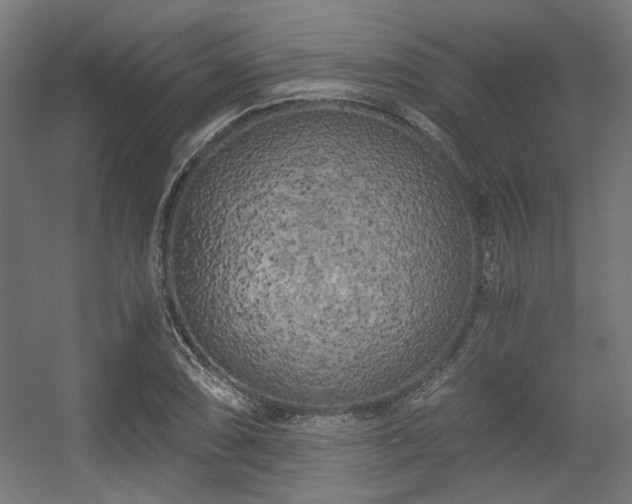 X0000056341074200508291309