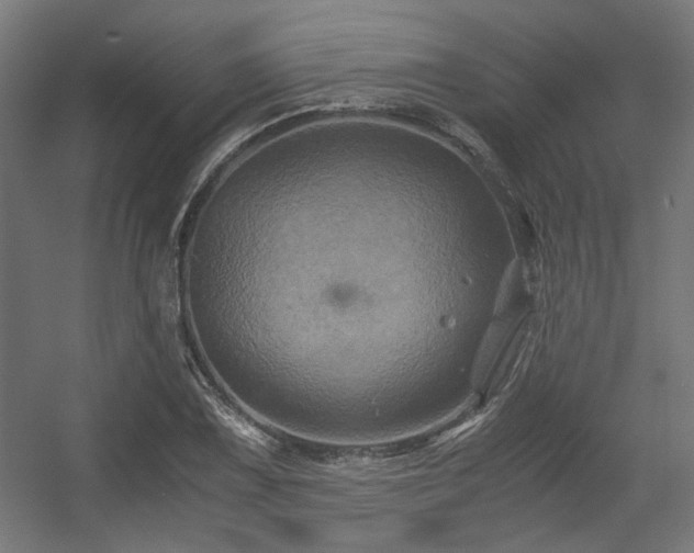 X0000056341075200508291309