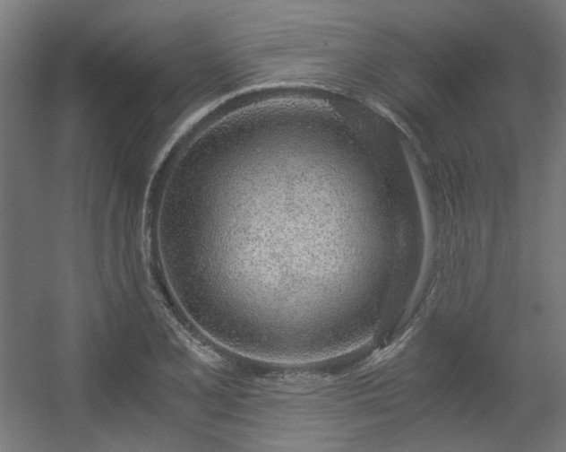 X0000056341077200508291309