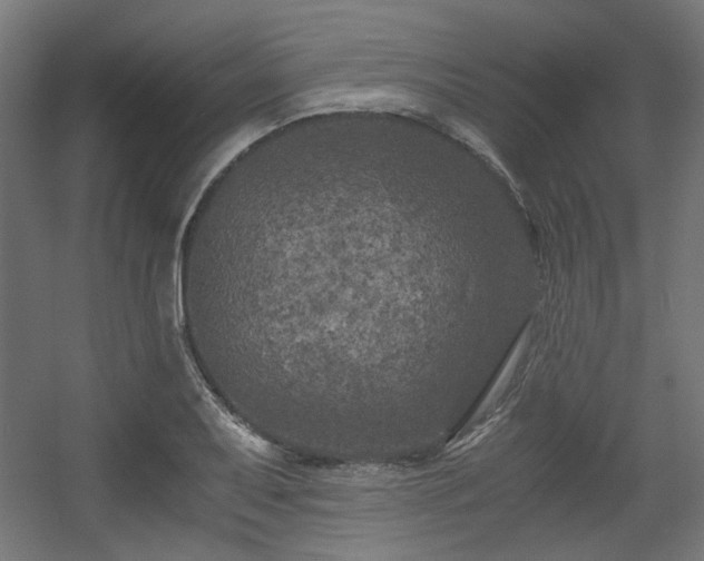 X0000056341079200508291309