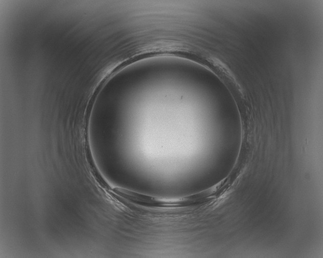 X0000056341081200508291309