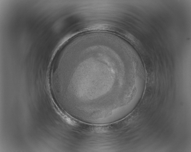 X0000056341086200508291309