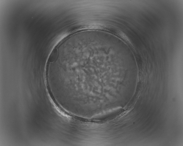 X0000056341087200508291309