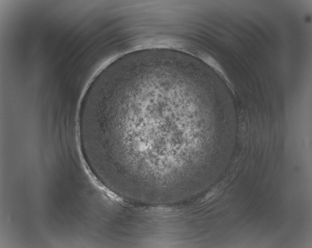 X0000056341088200508291309