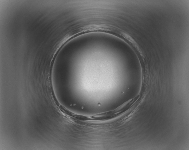 X0000056341089200508291309