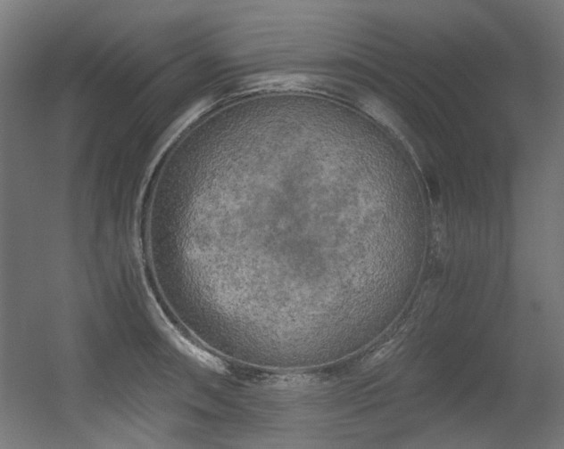 X0000056341090200508291309