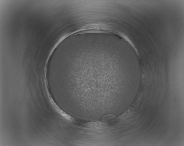 X0000056341091200508291309