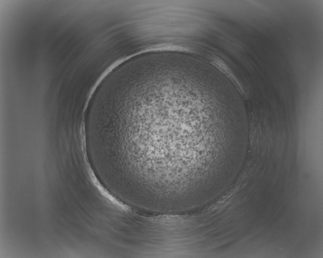 X0000056341092200508291309