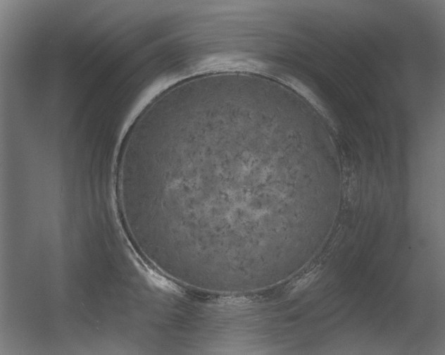 X0000056341094200508291309