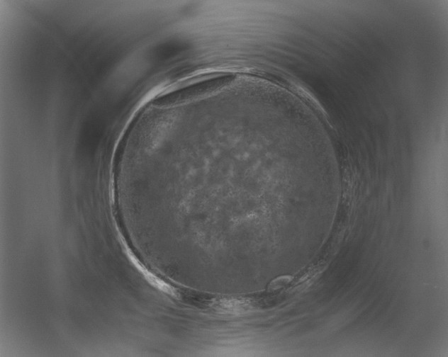 X0000056341095200508291309