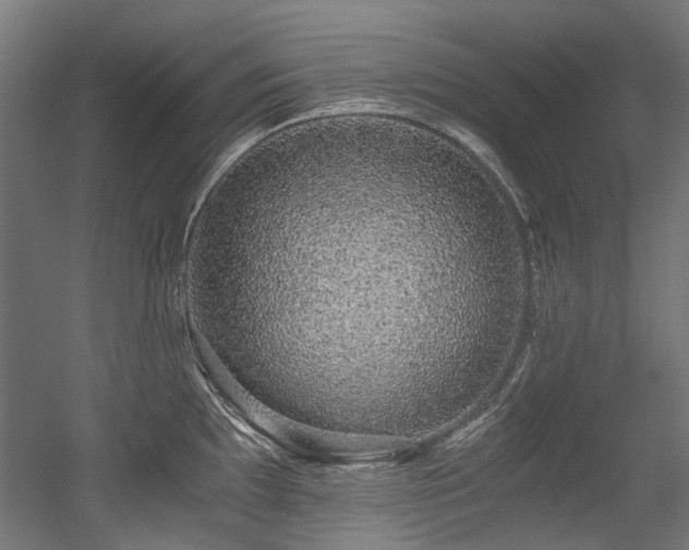 X0000056341097200508291309