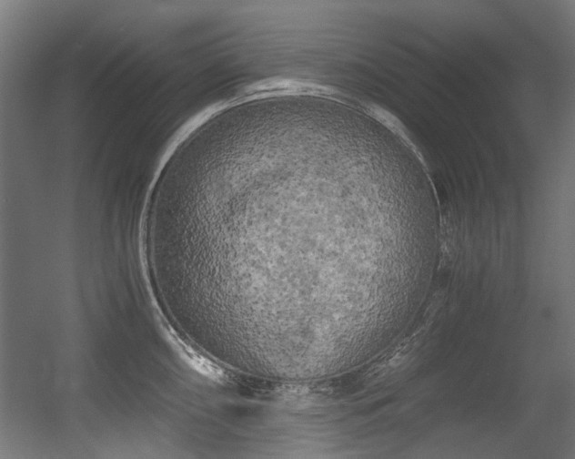 X0000056341098200508291309