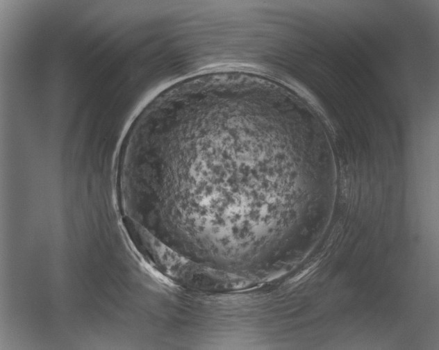 X0000056341102200508291309