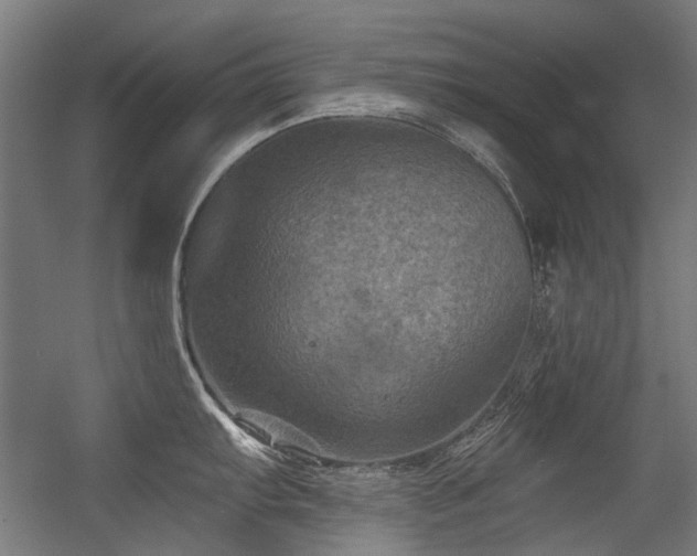 X0000056341103200508291309