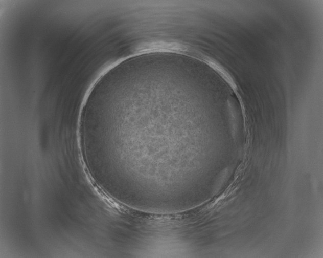 X0000056341104200508291309