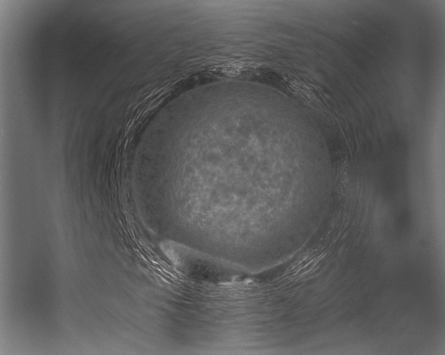 X0000056341105200508291308