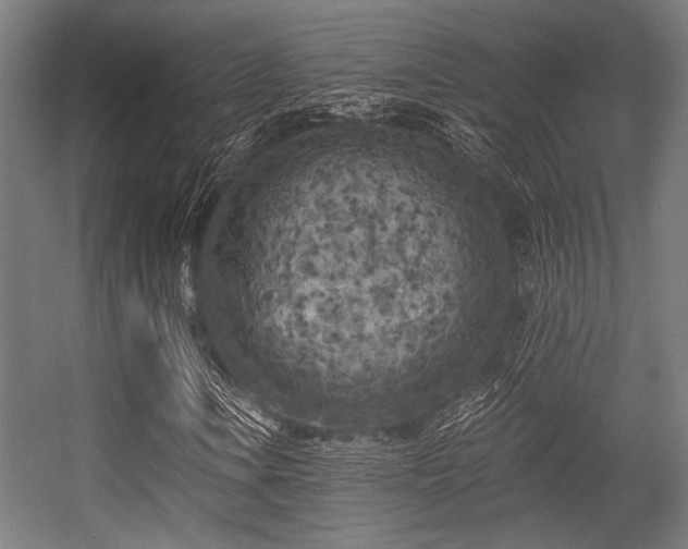 X0000056341106200508291308