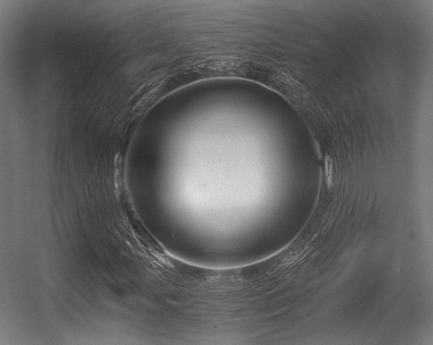 X0000056341107200508291308