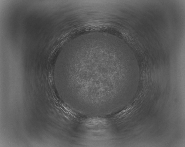 X0000056341109200508291308