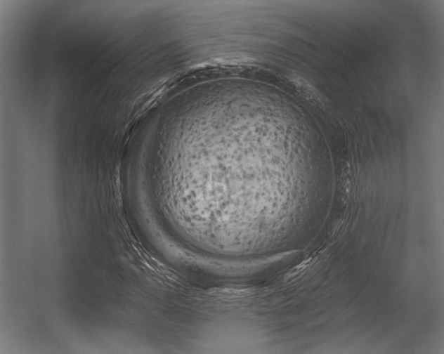 X0000056341110200508291308