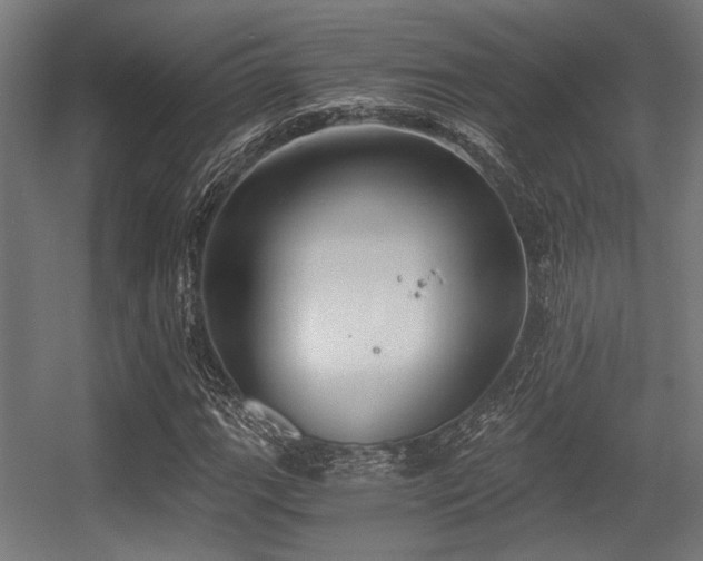 X0000056341111200508291308