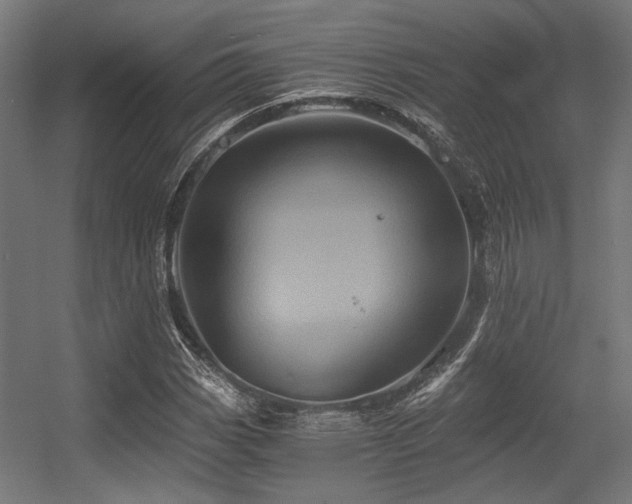 X0000056341113200508291308