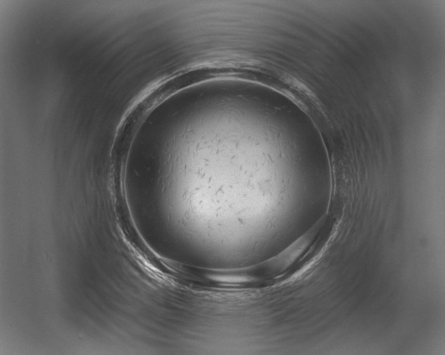 X0000056341114200508291308