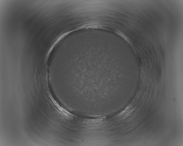 X0000056341115200508291308