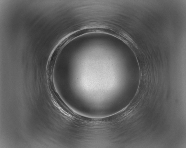 X0000056341116200508291308