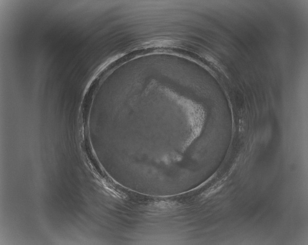 X0000056341117200508291308