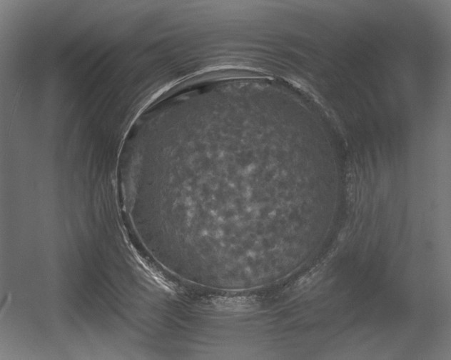 X0000056341121200508291308