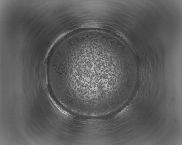 X0000056341123200508291308