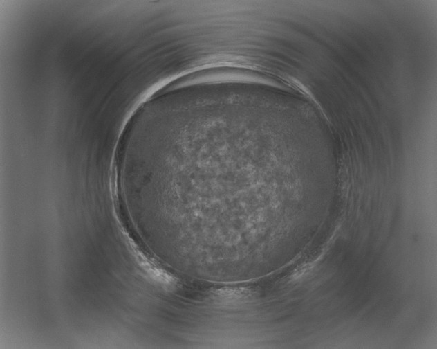 X0000056341125200508291308