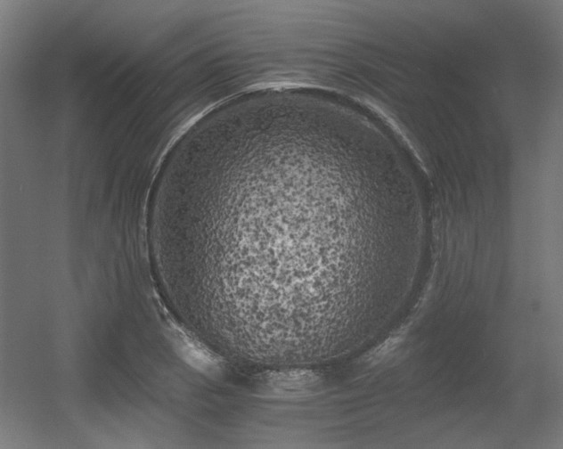 X0000056341129200508291308