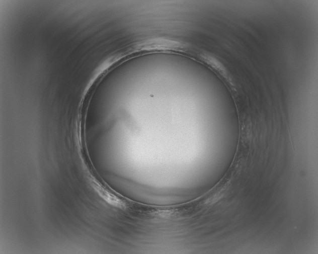 X0000056341130200508291308