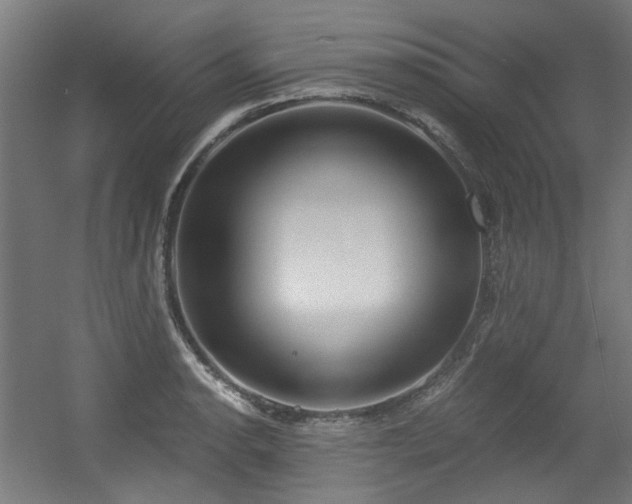 X0000056341134200508291309