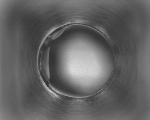 X0000056341135200508291309