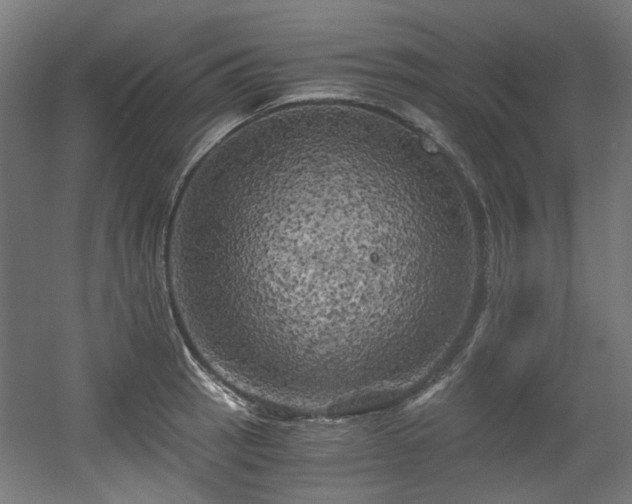 X0000056341137200508291309