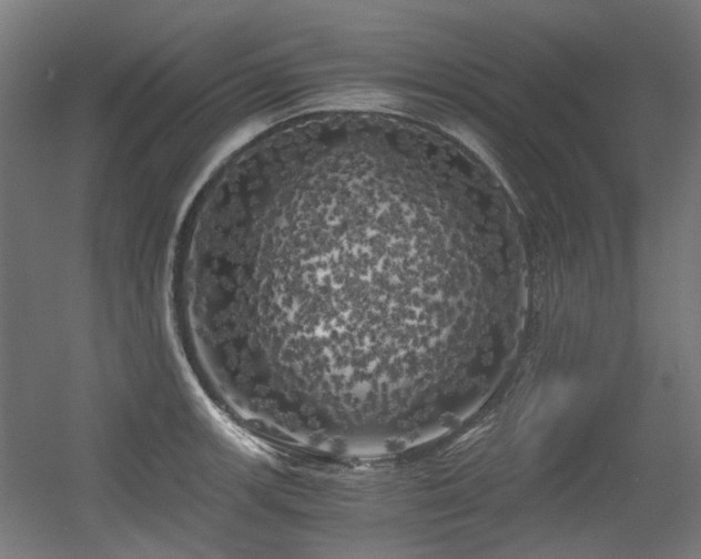 X0000056341139200508291309
