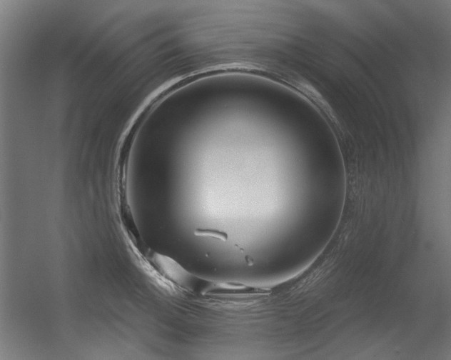 X0000056341140200508291309